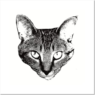 Devon Rex gift for Devon Rex Owners Posters and Art